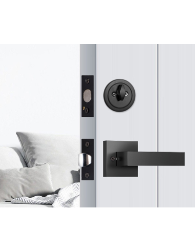 Serrure poignée inox